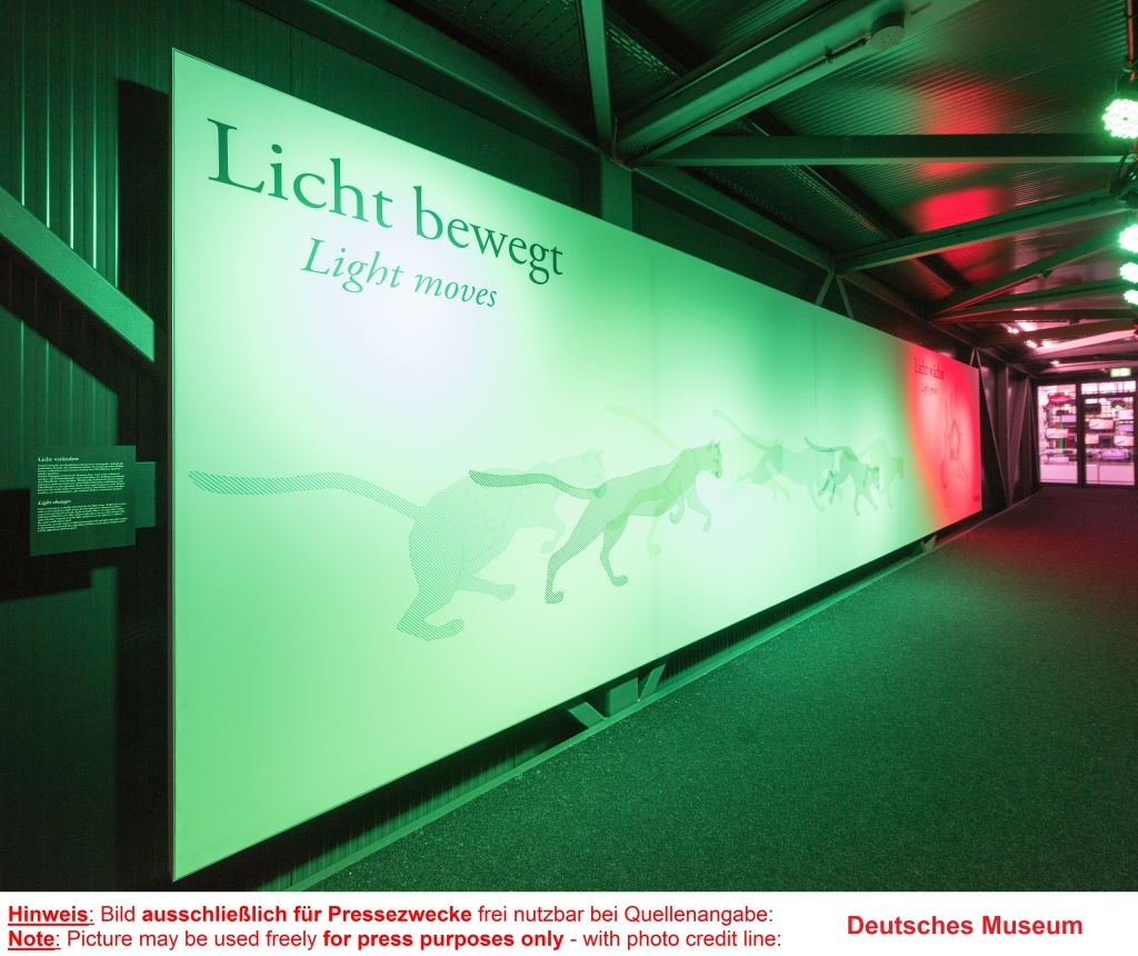 Die Lichtinstallation zeigt, wie die Katze in der Projektion durch Licht bewegt werden kann