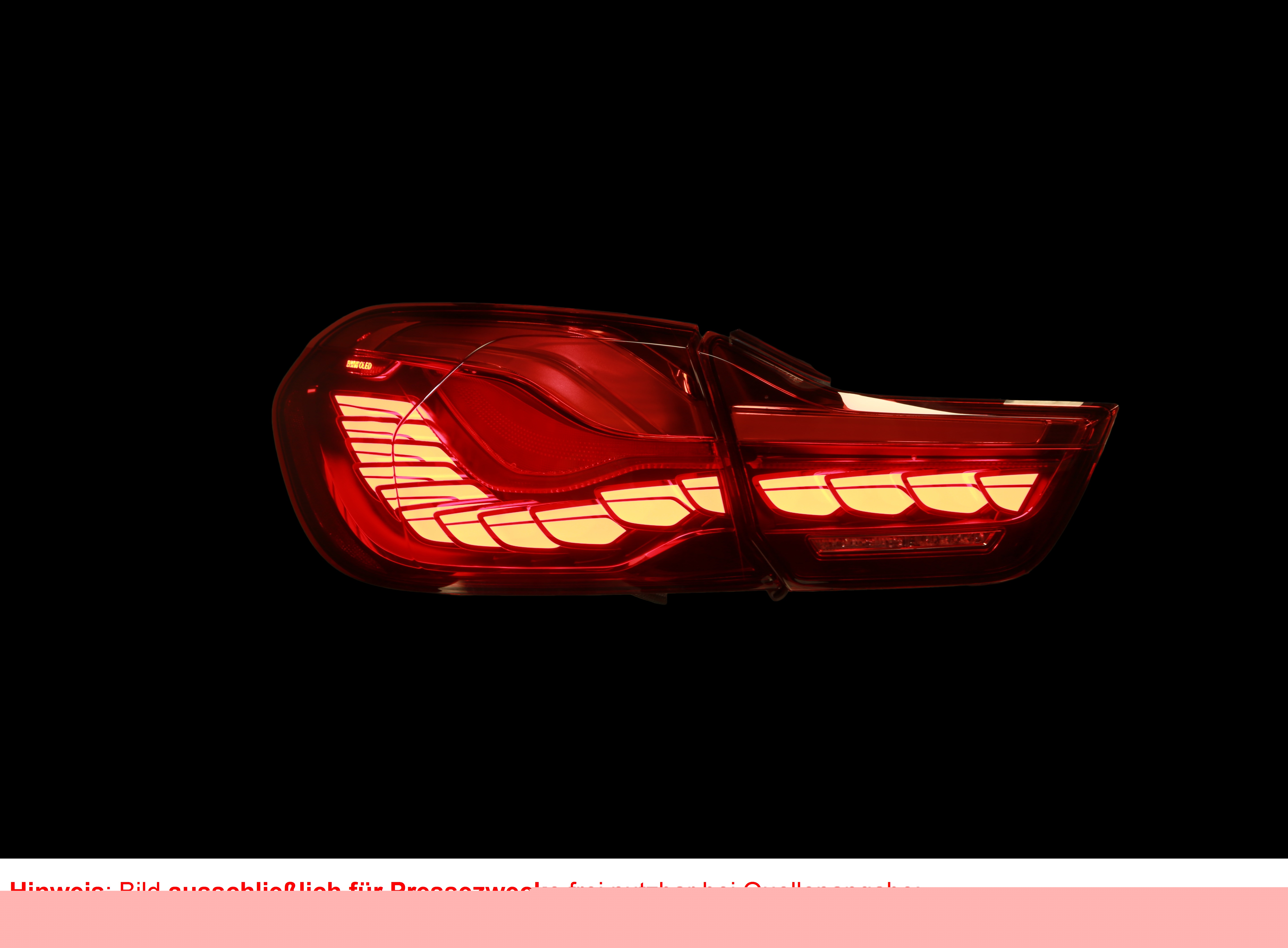 OLED Taillight